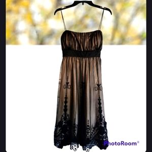 Sheer Silk Dress